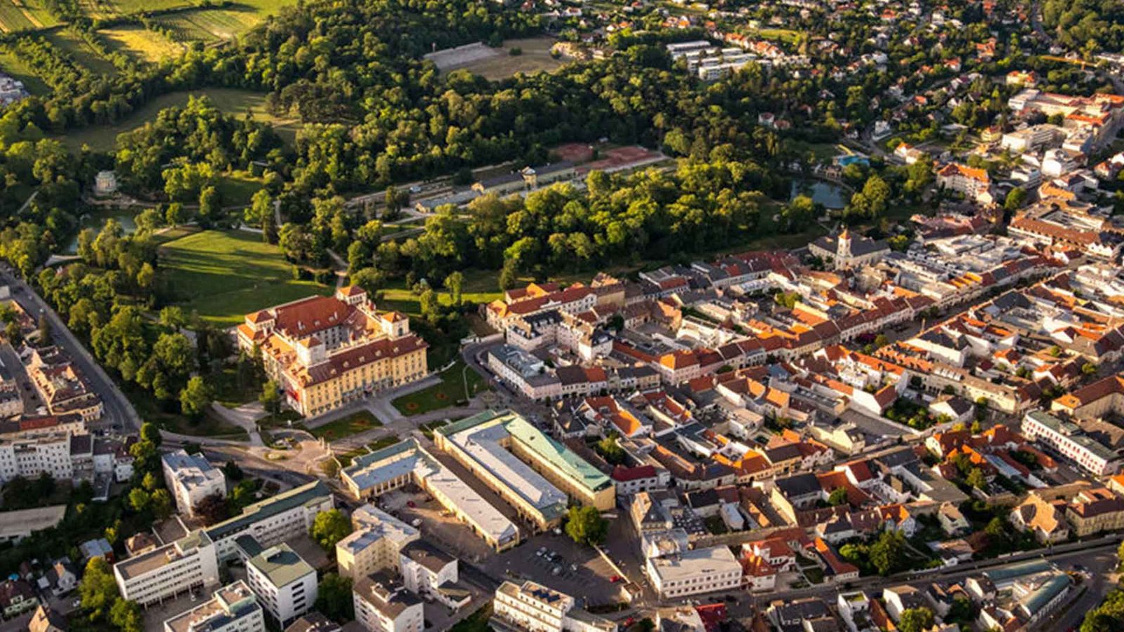 Entrümpelung Eisenstadt, Räumung Eisenstadt, Messie Wohnung Eisenstadt, Räumung in Eisenstadt