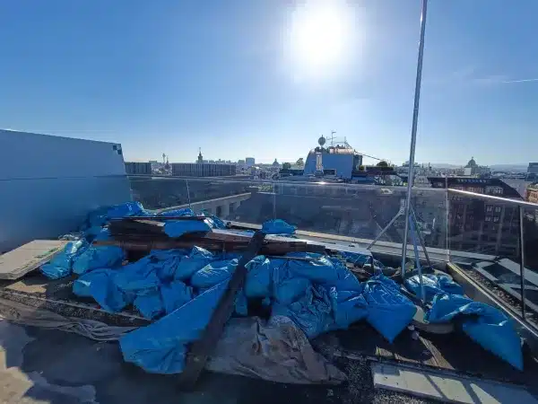 Vorher – Detail: gemischte Altreste auf der Dachfläche