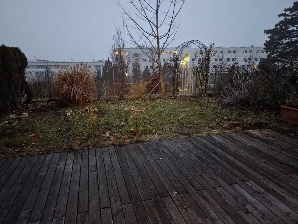 Nachher: aufgeräumter Gartenbereich nach Räumung in 1230 Wien
