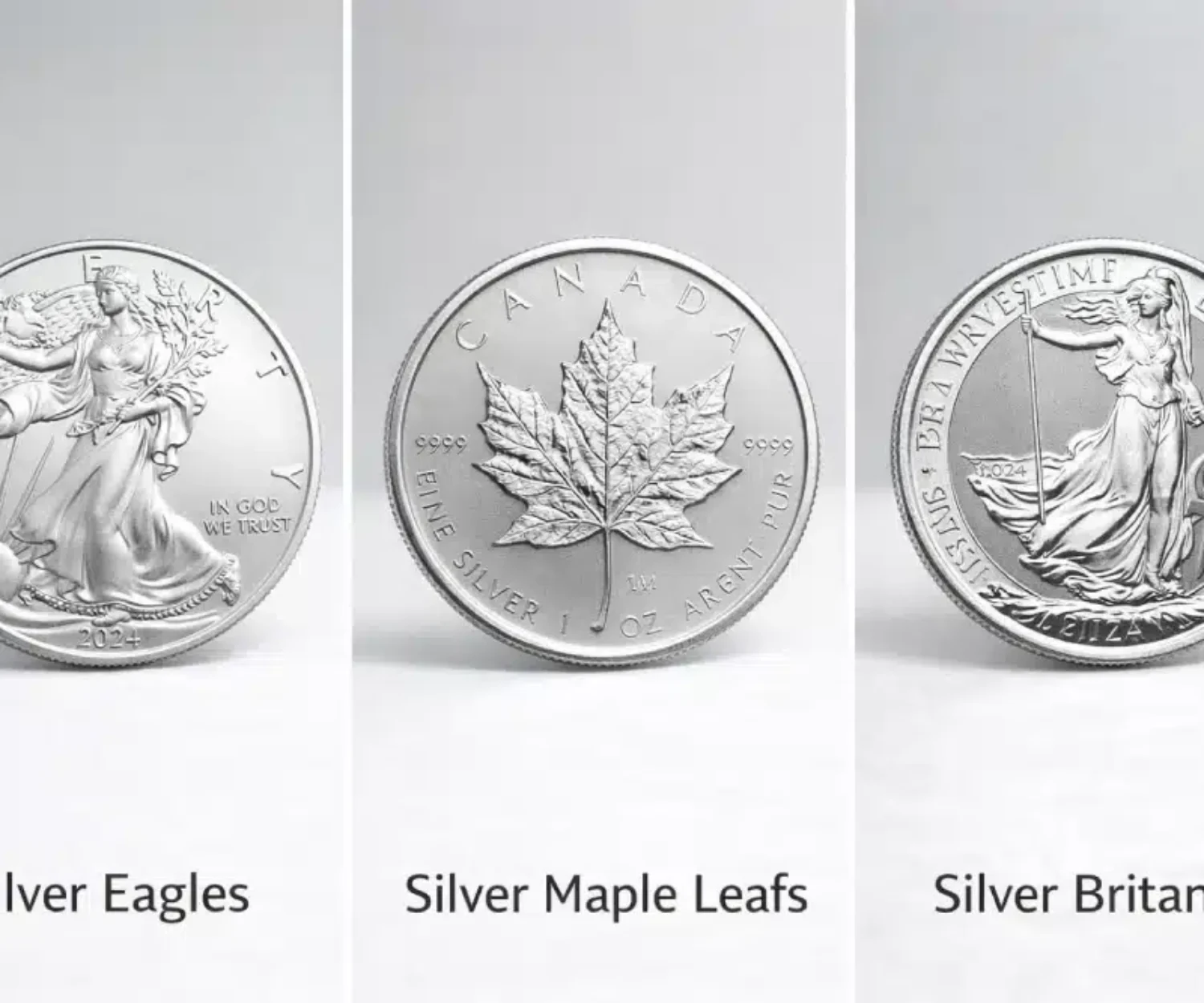 Ankauf von Silber-Anlagemünzen in Wien