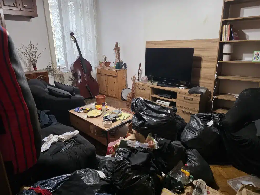 Entrümpelung in Hollenthon 2812